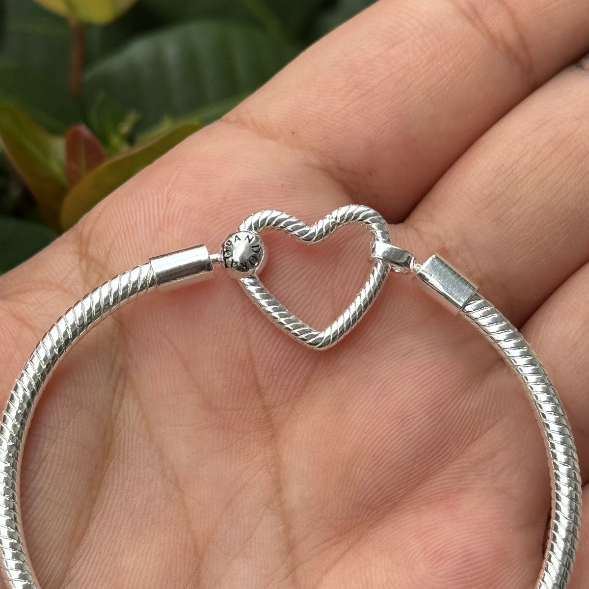 P8036