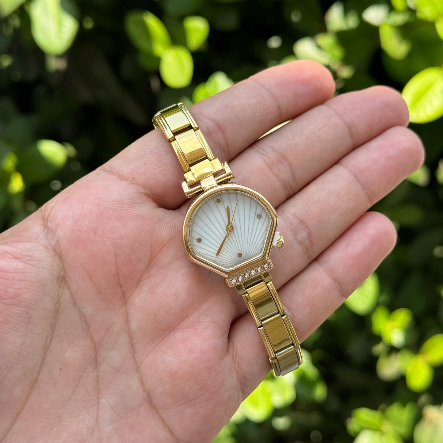 Reloj Concha