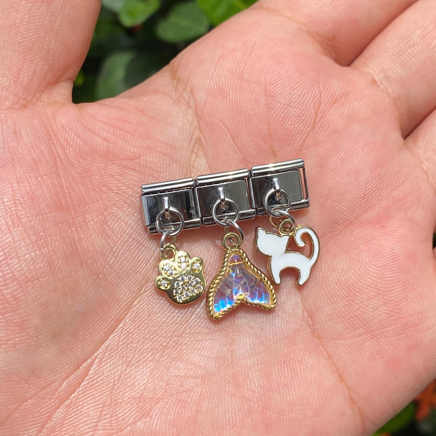 Charm Animal Mix