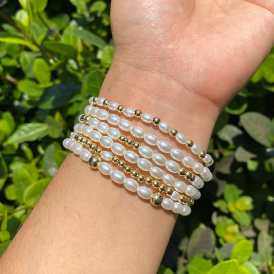 P1199 chapa/set