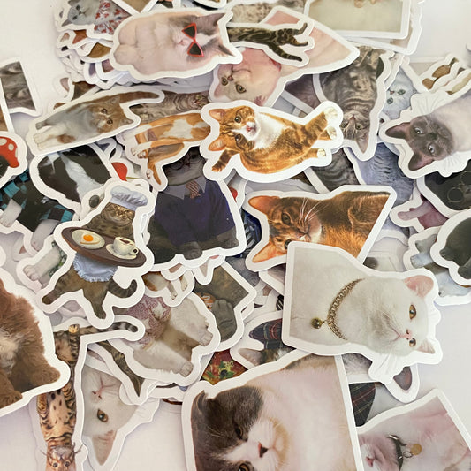 Sticker Gatitos