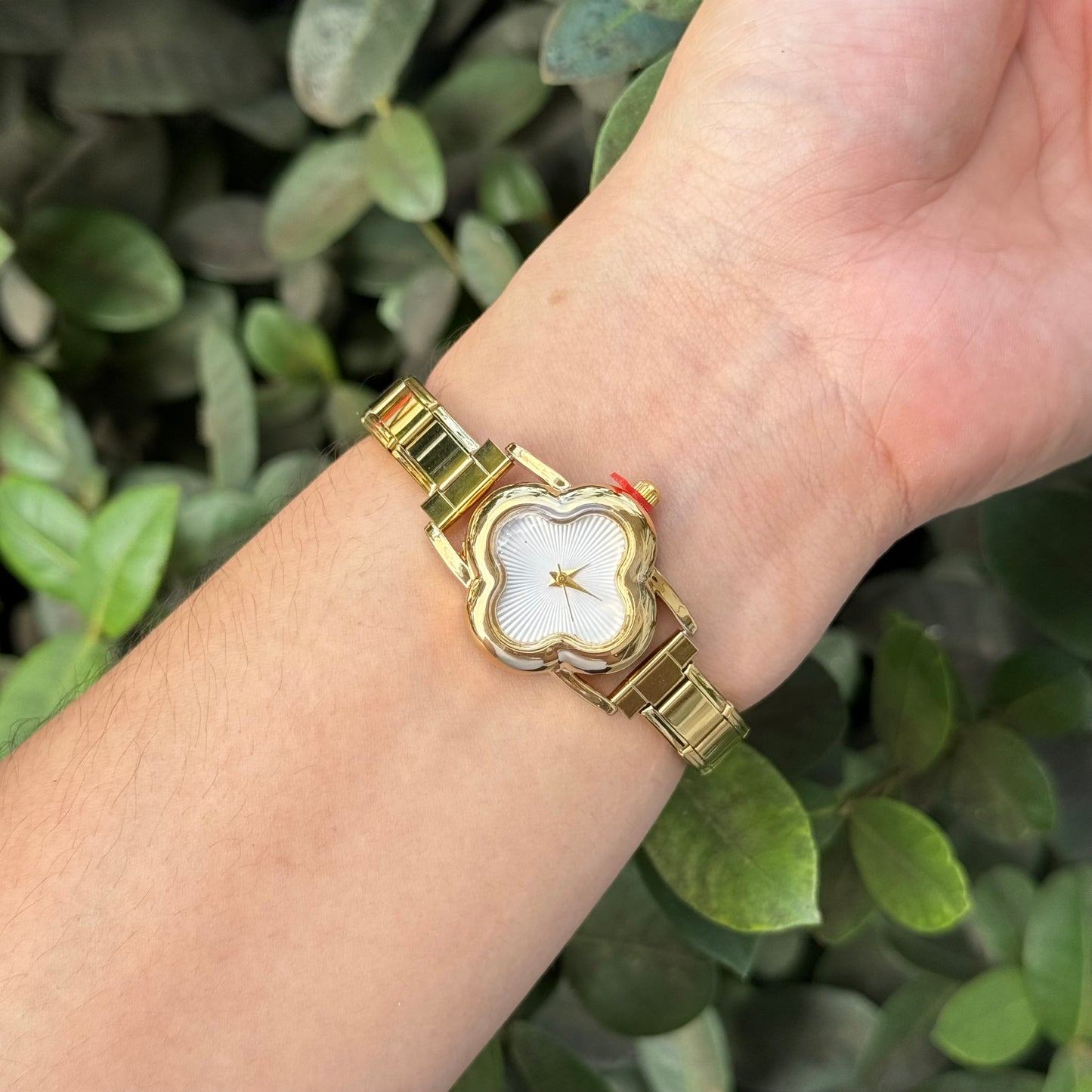 Reloj Italiano Trébol acero