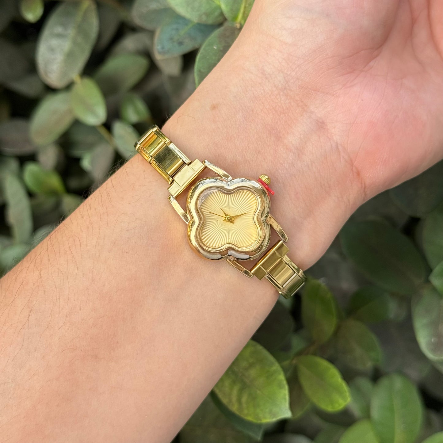 Reloj Italiano Trébol acero