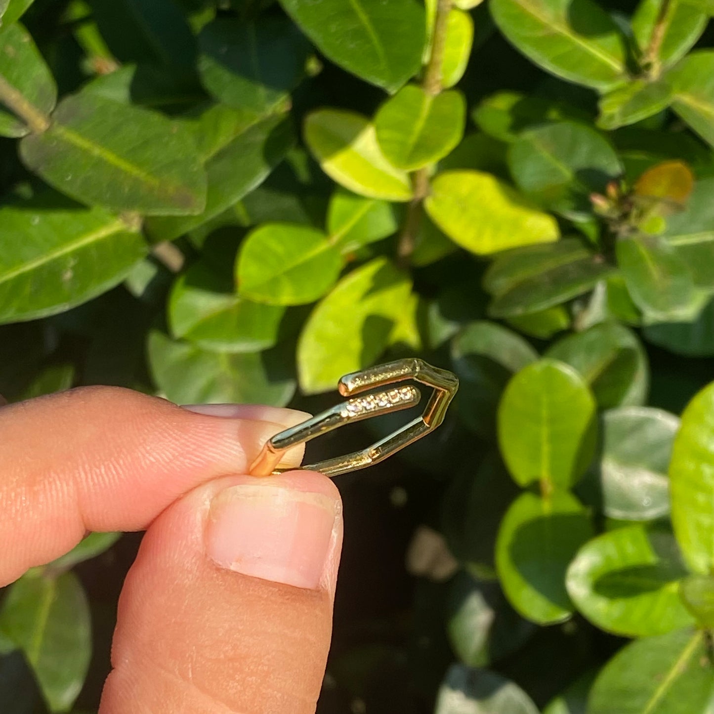 AN1570 chapa