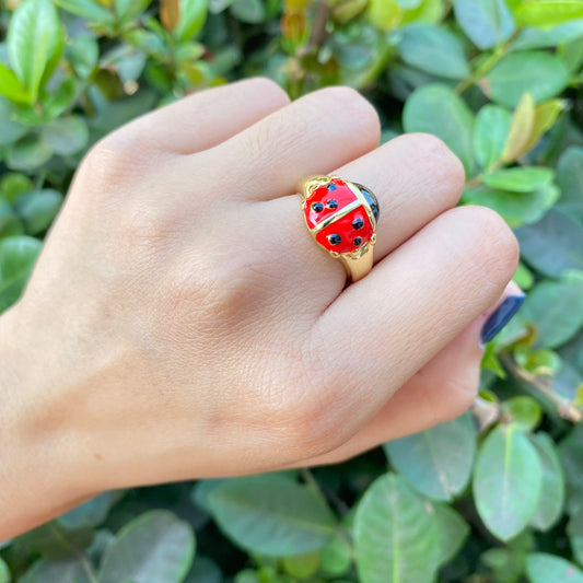 Anillo catarina chapa