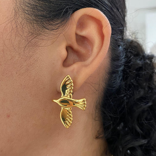 Aretes Golondrina acero