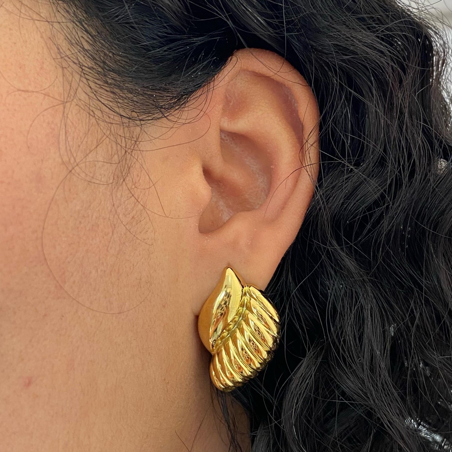 Aretes alas acero