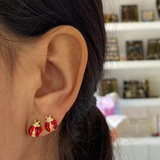 Aretes Catarina Mini Chapa