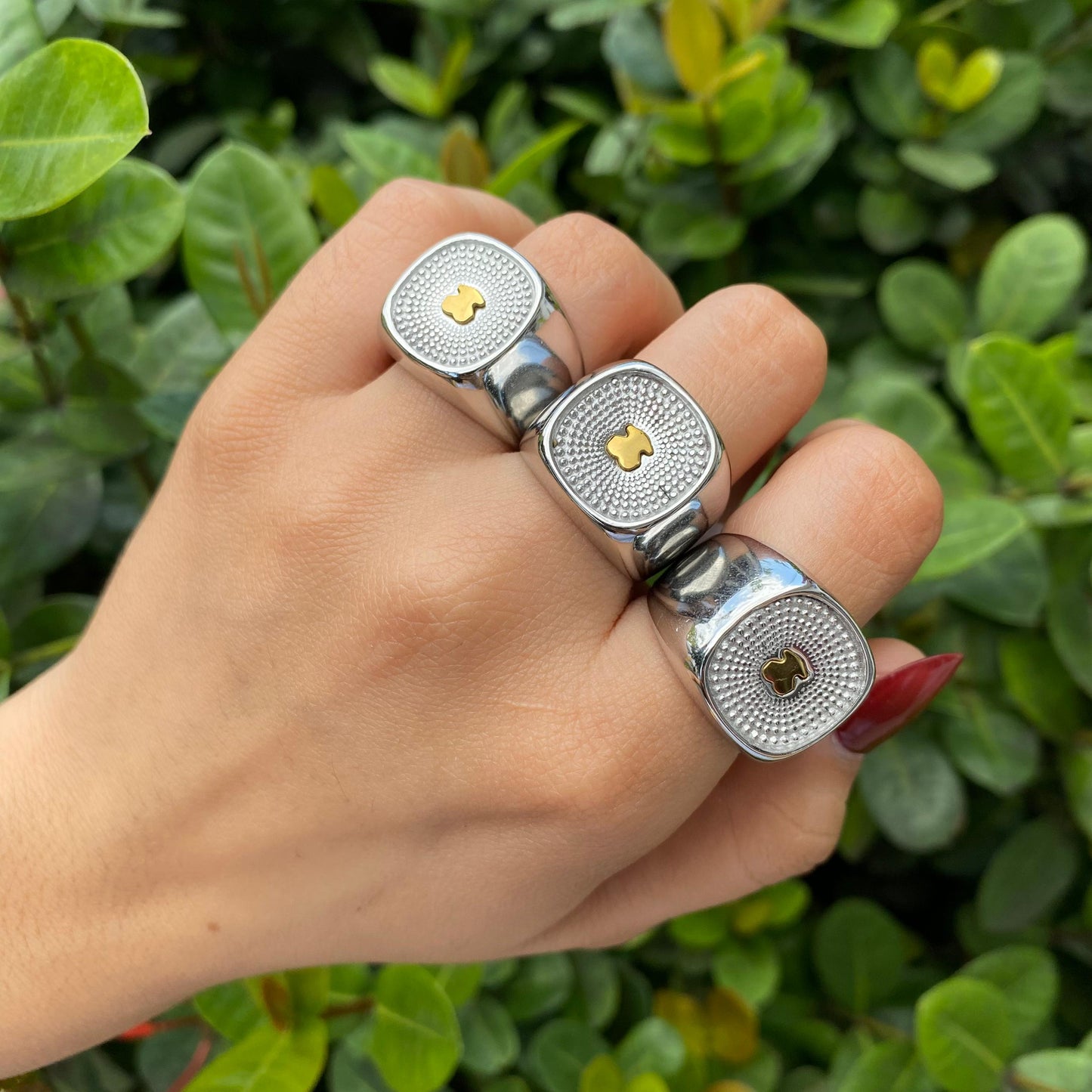 Anillo Oso Combinado acero